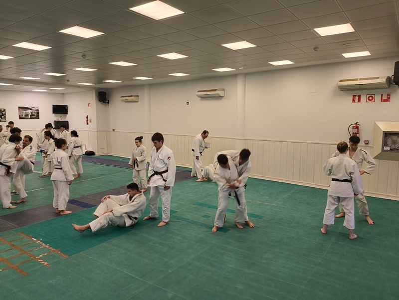 Numerosa participación en el último curso de preparación para examen de paso de grado de Judo de la temporada. Tudela 17-05-25